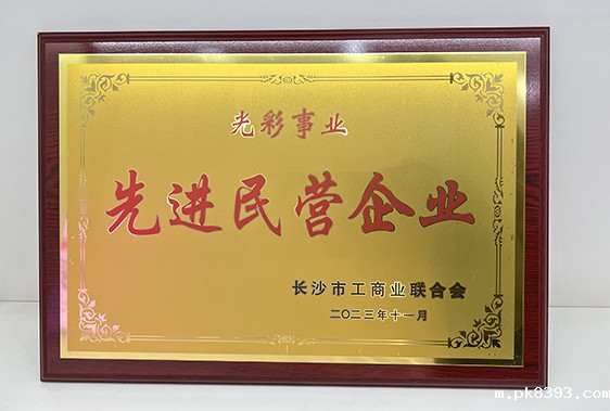 雷竞技电子平台被市工商联授予“光彩事业先进民营企业”称号