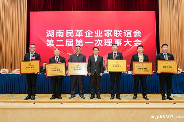 雷竞技电子平台当选湖南民革企业家联谊会副会长单位