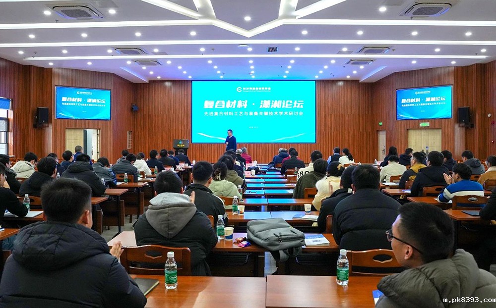 “复合材料·潇湘论坛”第四届学术研讨会成功举办