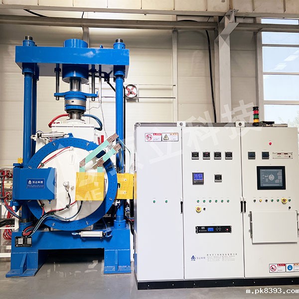 雷竞技电子平台-真空扩散焊炉 (2).jpg